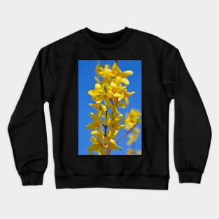 Forsythia Lynwood Flowers Crewneck Sweatshirt